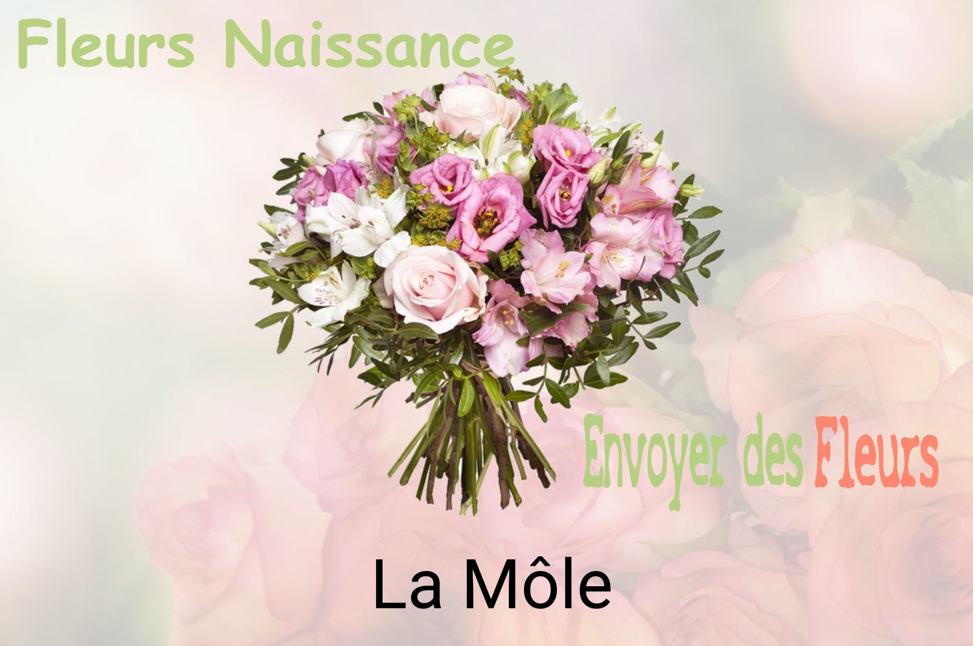 Bouquet de fleurs de naissance livré à La Môle