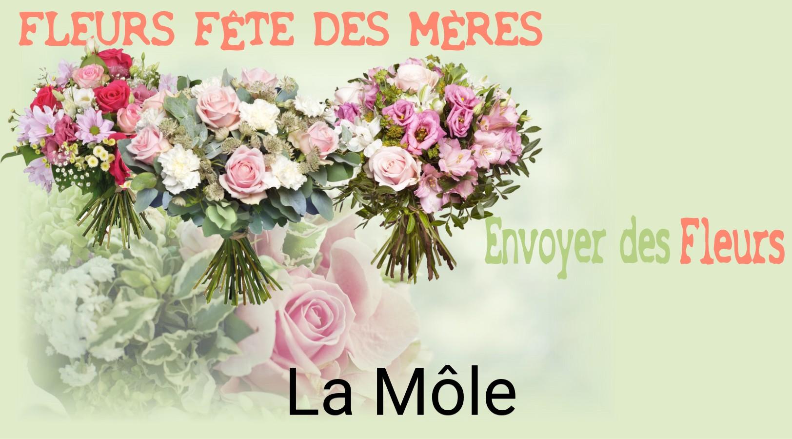 Bouquet de Fête des Mères livré à La Môle